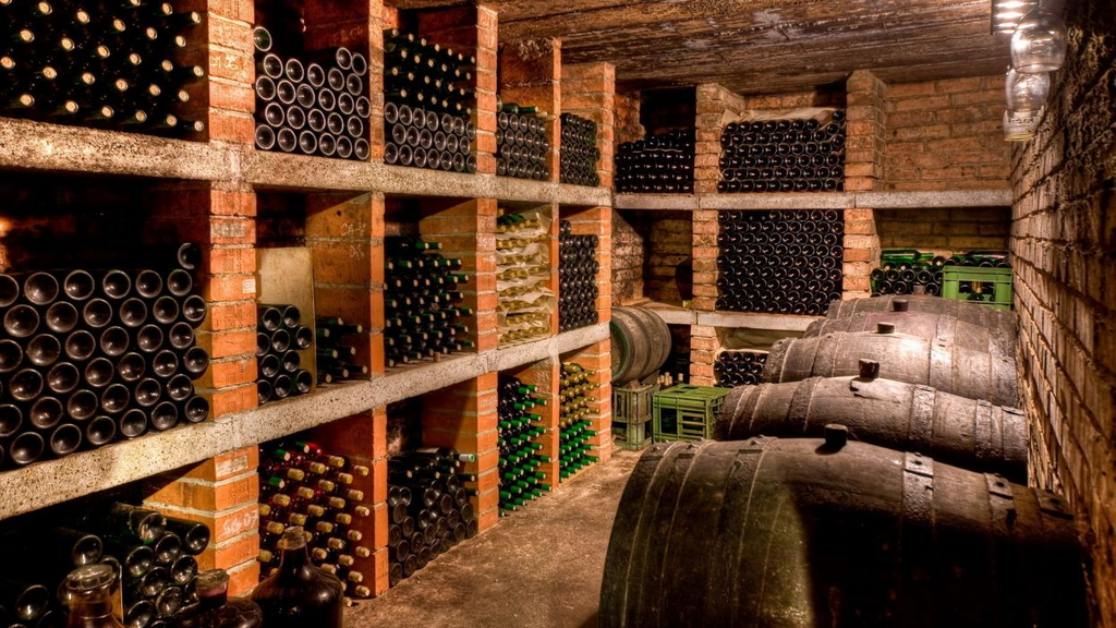 Wine Rack Store | Wine Decor